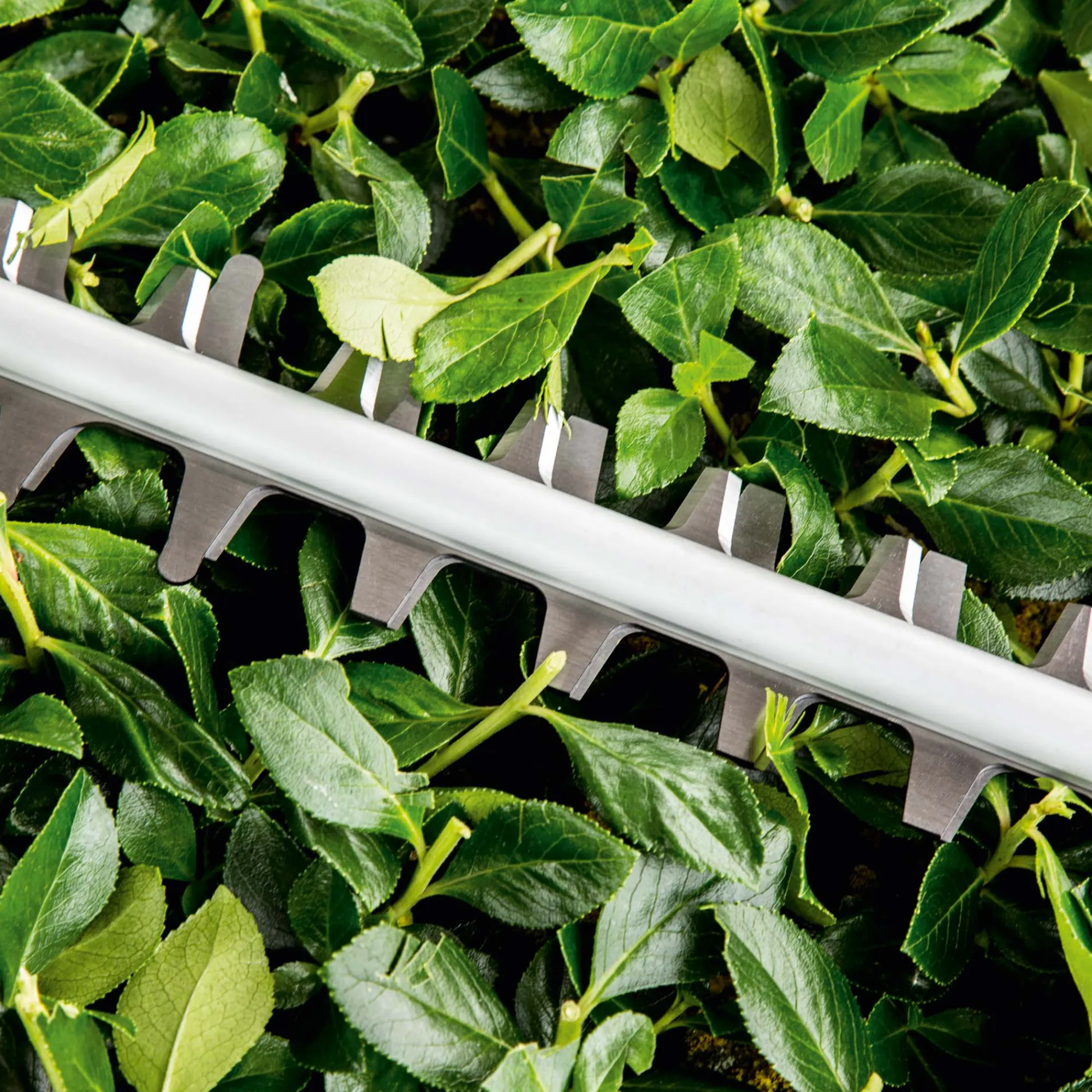 Bosch Tuinmachines>Heggenschaar UnversalHedgeCut 60 V2