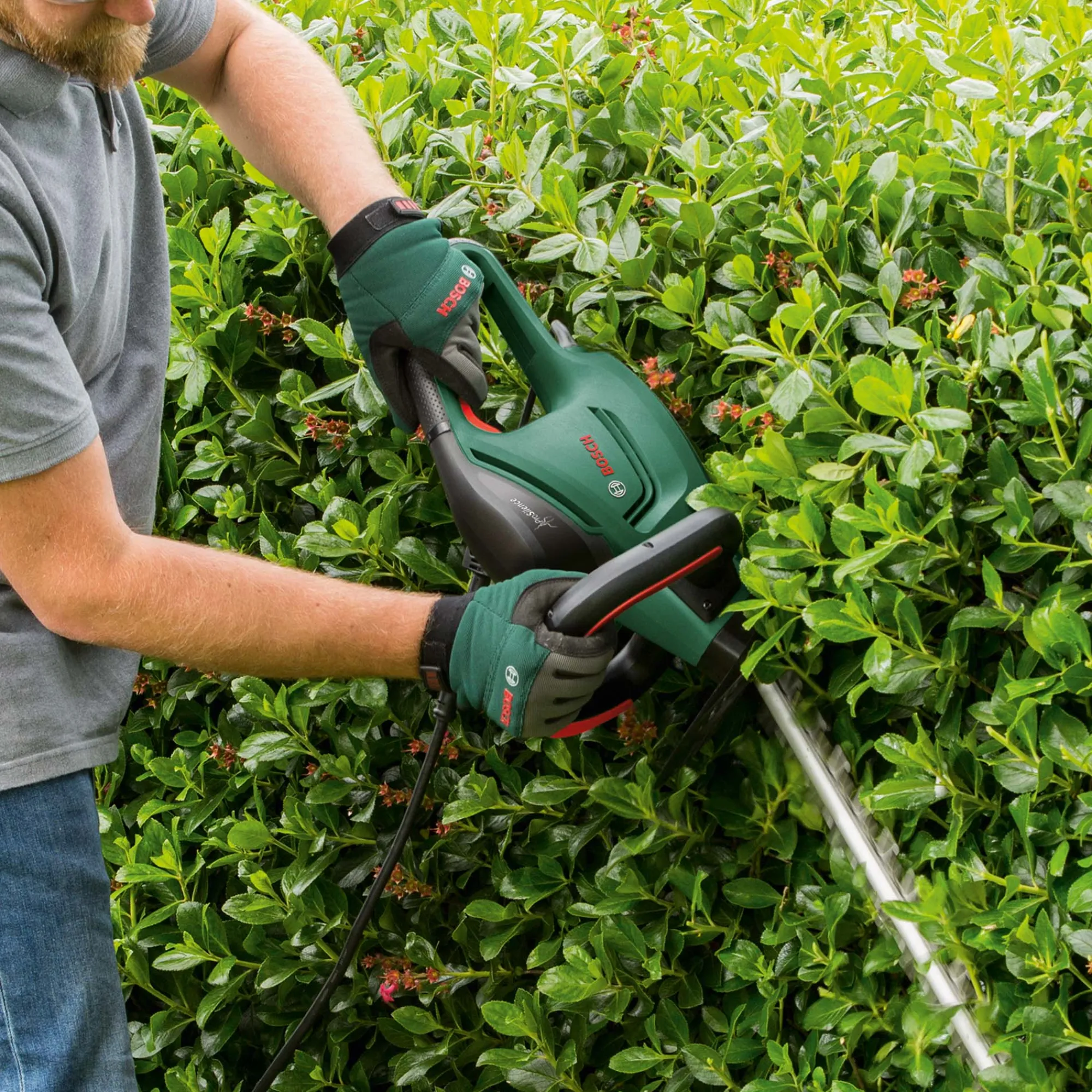 Bosch Tuinmachines>Heggenschaar UnversalHedgeCut 60 V2