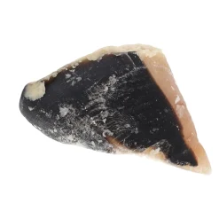 Smulti Hondensnacks>Hondensnack kalfshoef druivensuiker