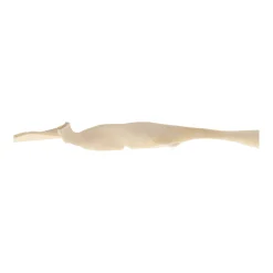 Smulti Hondensnacks>Hondensnack runderkophuid wit 70cm