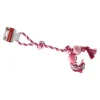Friendly Pet Hondenspeelgoed>Hondenspeelgoed touw+2 ballen 55cm