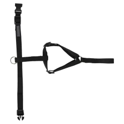 Friendly Pet Hondentuig><noscript><img width=