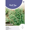 Horti Tops Moestuin>HT Majoraan