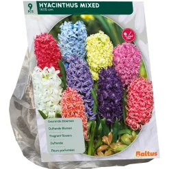 Baltus Bodemverbeteraars>Hyacinth Mix per 9