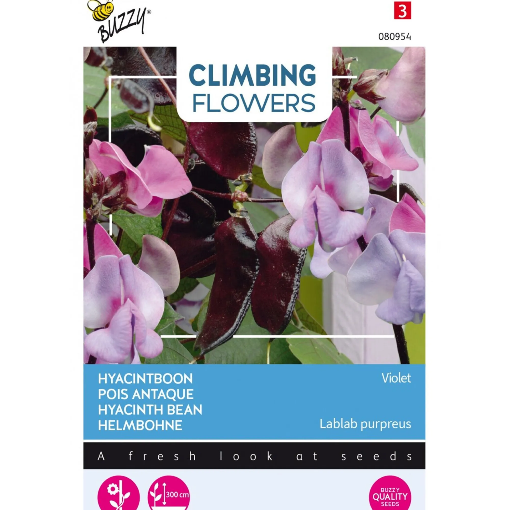 Buzzy Moestuin>Hyacinthboon