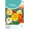 Horti Tops Moestuin>IJslandse Papaver mix