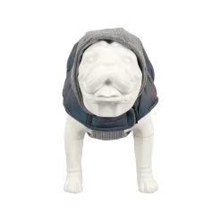 Friendly Pet Hondenjas><noscript><img width=