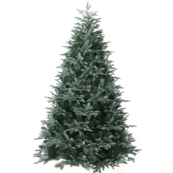 O'malley Kerstbomen>Kerstboom blue pine 240cm