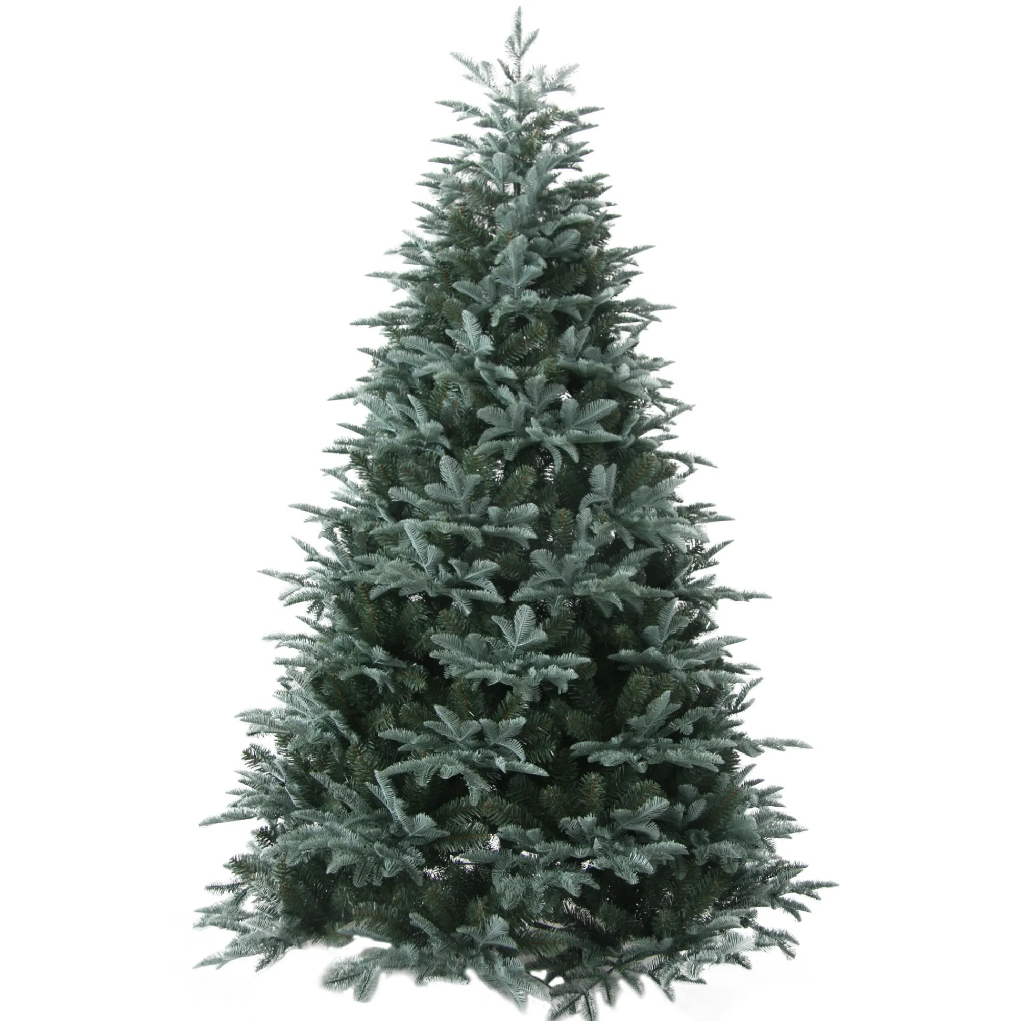 O'malley Kerstbomen>Kerstboom blue pine 240cm