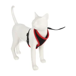 Friendly Pet Kattenverzorging>Kittentuig zwart/rood 10mmx110cm