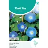 Horti Tops Moestuin>Klimmende Winde Clark Blue