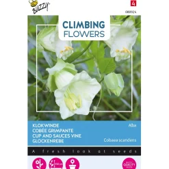 Buzzy Moestuin>Klokwinde Alba wit