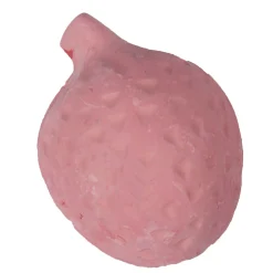 Flamingo Knaagdierverzorging>Knaagsteen Tutti Frutti Aardbei