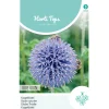 Horti Tops Moestuin>Kogeldistel Blue Globe