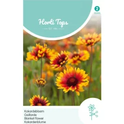Horti Tops Moestuin>Kokardebloem