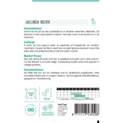 Horti Tops Moestuin>Kokardebloem