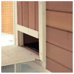 Flamingo Kooien En Hokken Knaagdier><noscript><img width=