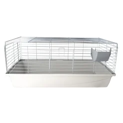 Inter-Zoo Kooien En Hokken Knaagdier><noscript><img width=