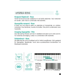 Horti Tops Moestuin>Kruipend Gipskruid roze