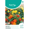 Horti Tops Moestuin>Lage Afrikaan Bonita mix