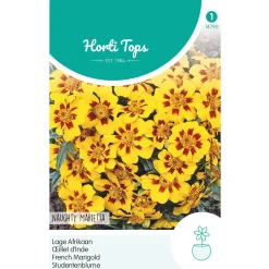 Horti Tops Moestuin>Lage Afrikaan Naughty Marietta