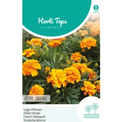 Horti Tops Moestuin>Lage Afrikaan Petite Harmony