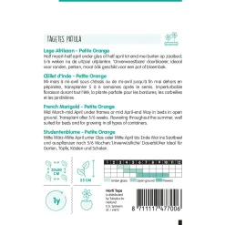 Horti Tops Moestuin>Lage Afrikaan Petite Orange