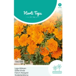 Horti Tops Moestuin>Lage Afrikaan Tangerine
