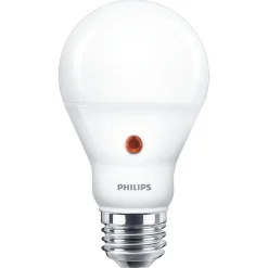 Philips Binnenverlichting>Lamp LED bol mat dag/nacht 60w E27