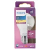 Philips Bouwlampen>Lamp LED peer mat 40W E27