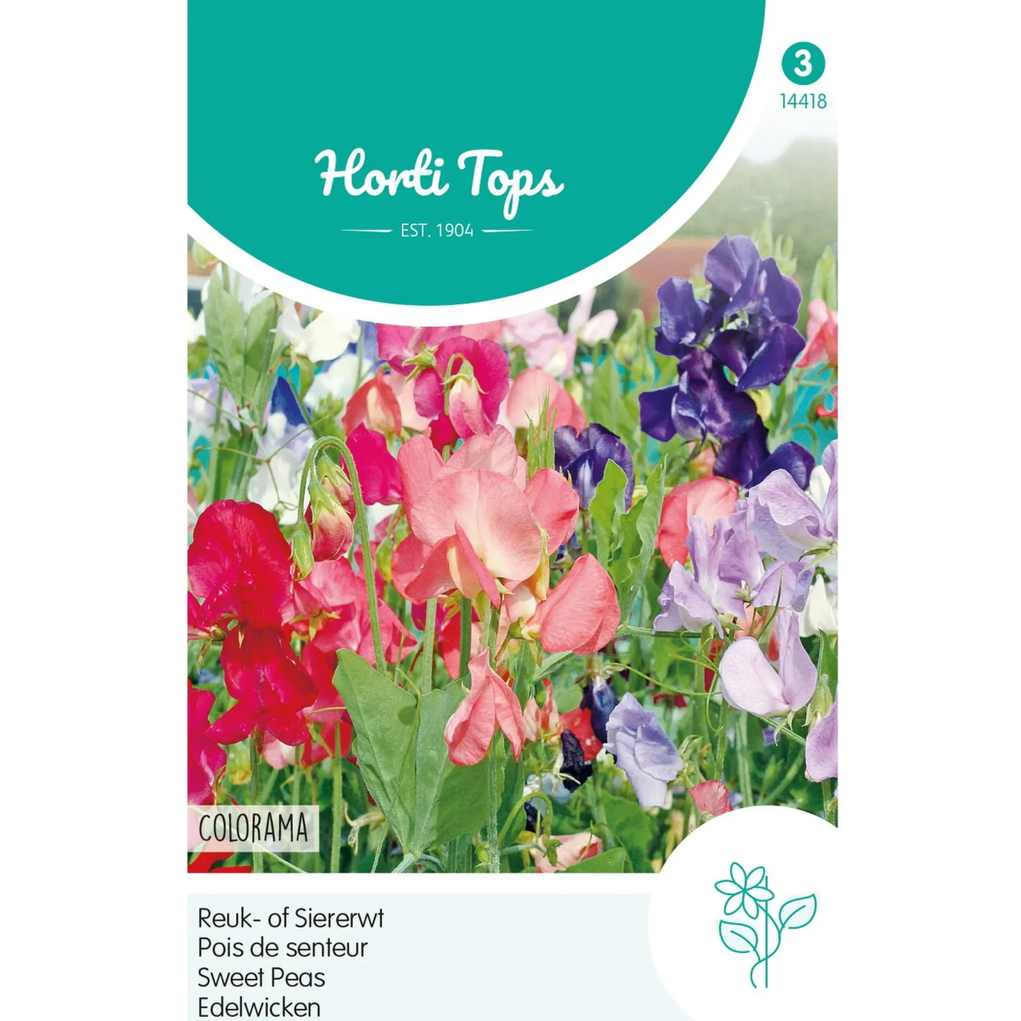 Horti Tops Moestuin>Lathyrus Colorama Mix