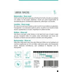 Horti Tops Moestuin>Lavatera rozerood