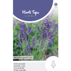 Horti Tops Moestuin>Lavendel zaad