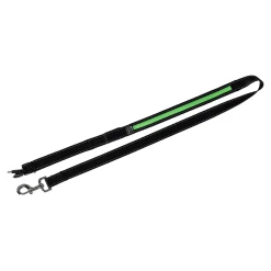 Flamingo Hondenriem>LED-lijn groen + USB-oplader 120 cm