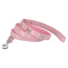 Friendly Pet Hondenriem>Looplijn bot roze 16mmx120cm