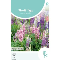 Horti Tops Moestuin>Lupine Russell Hybrids mix
