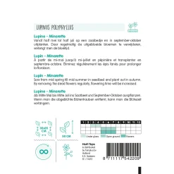 Horti Tops Moestuin>Lupinus Minarette mix