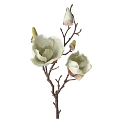 O'malley Kunstplanten En Kunstbloemen>Magnolia enkel 55 cm groen