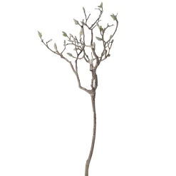 Everlands Kunstplanten En Kunstbloemen>Magnolia tak 93 cm