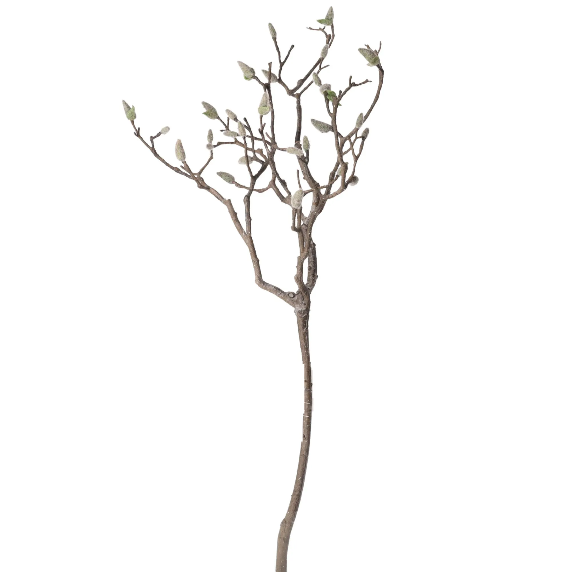 Everlands Kunstplanten En Kunstbloemen>Magnolia tak 93 cm