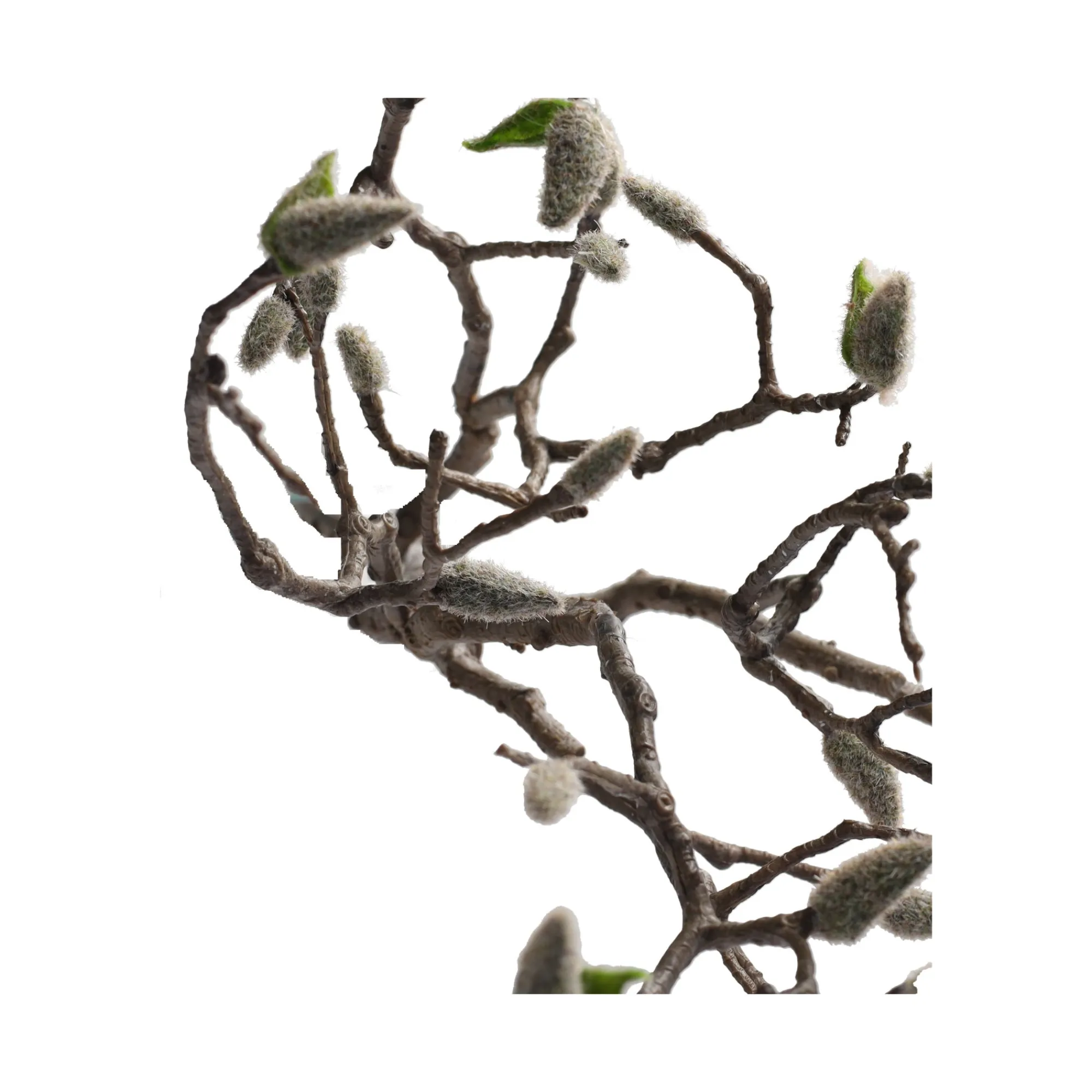 Everlands Kunstplanten En Kunstbloemen>Magnolia tak 93 cm