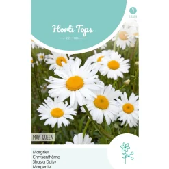 Horti Tops Moestuin>Margriet May Queen