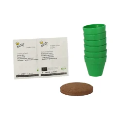 Buzzy Moestuin>Mini Greenhouse kitchen herbs 8