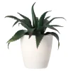 O'malley Woondecoratie>Mini vetplant decoratie 15 cm assorti