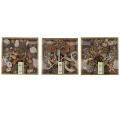 Natural Collections Woondecoratie>Mix exotisch naturel 25 x 25 x 7 cm