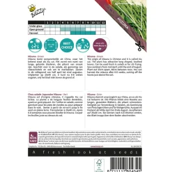 Buzzy Moestuin>Mizuna