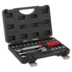 Lotus Handgereedschap>Momentsleutel 1/4 5-25 NM +set