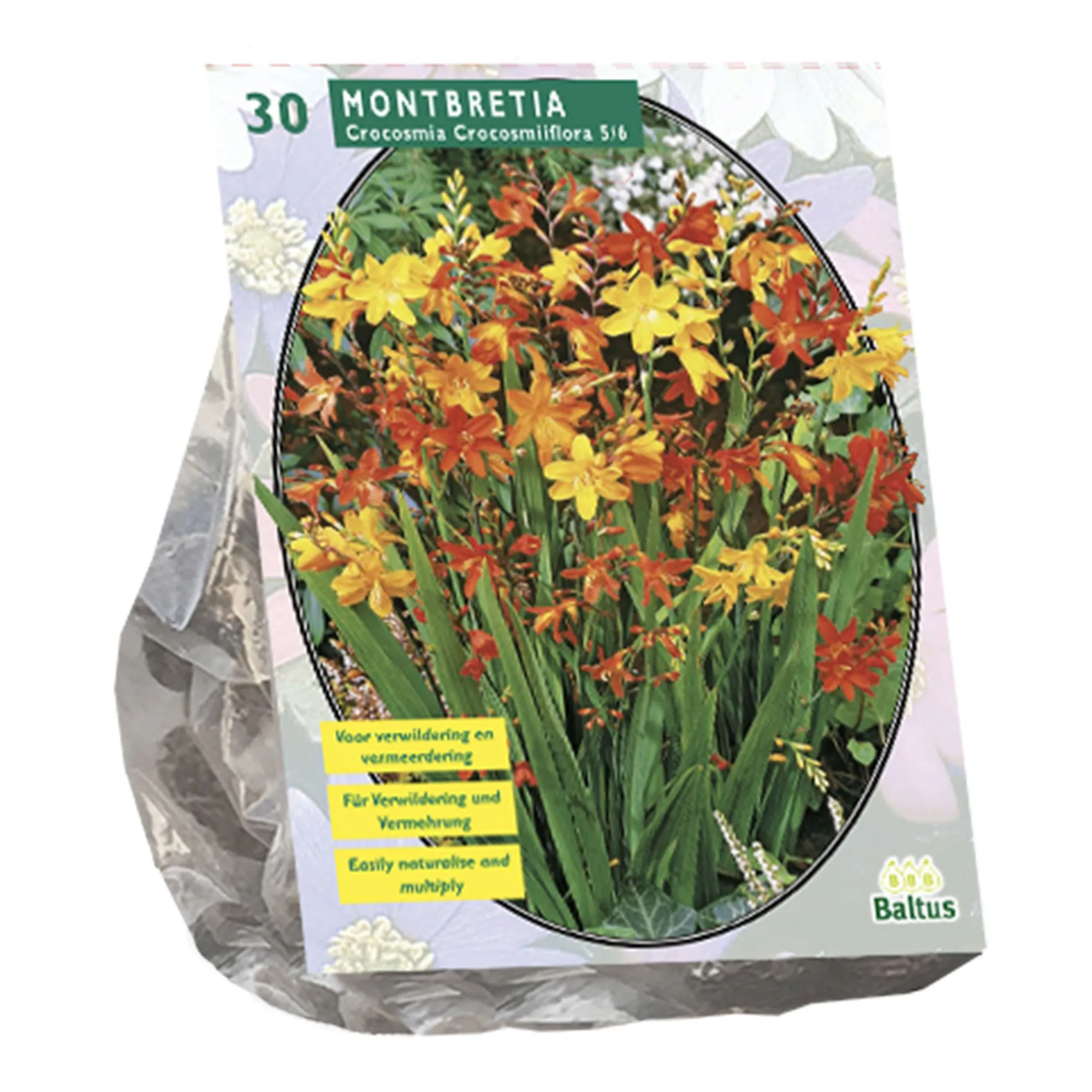 Baltus Bodemverbeteraars>Montbretia per 30