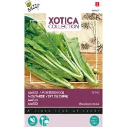 Buzzy Moestuin>Mosterdkool