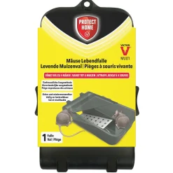 Protect Home Schoonmaken>Muizenval catch+hold Victor